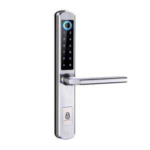 IBINTEL ELVIA E1 PLATA