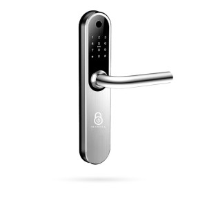 IBINTEL BERNA B2 Plata